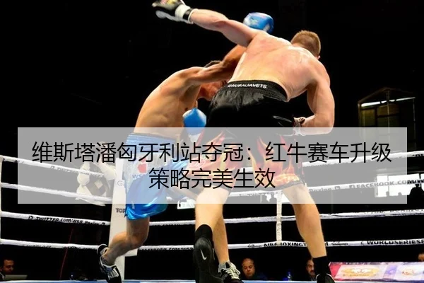 wei-si-ta-pan-xiong-ya-li-zhan-duo-guan-hong-niu-sai-che-sheng-ji-ce-lve-wan-mei-sheng-xiao-2-243.jpg
