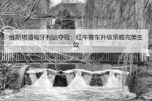 维斯塔潘匈牙利站夺冠：红牛赛车升级策略完美生效