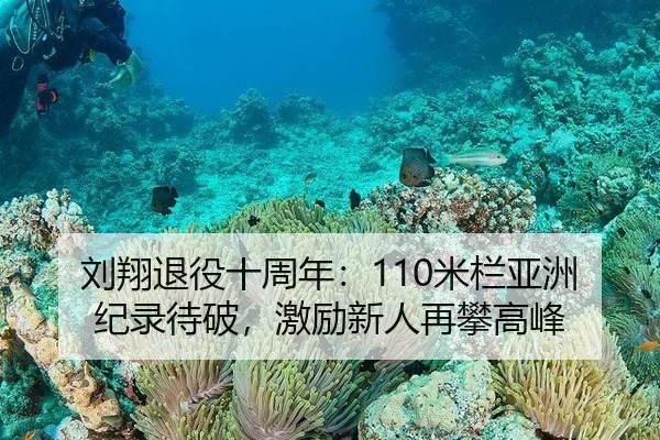 刘翔退役十周年：110米栏亚洲纪录待破，激励新人再攀高峰