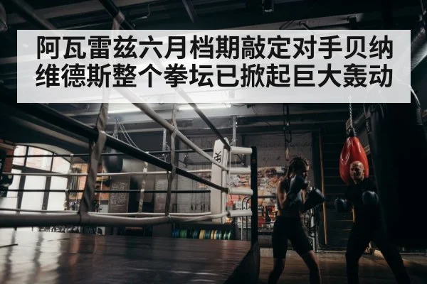 boxer training